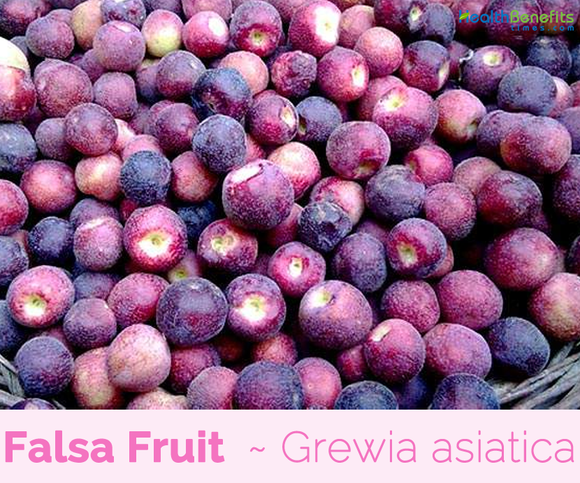 Grewia asiatica (Falsa) - 500g (4714071031893)