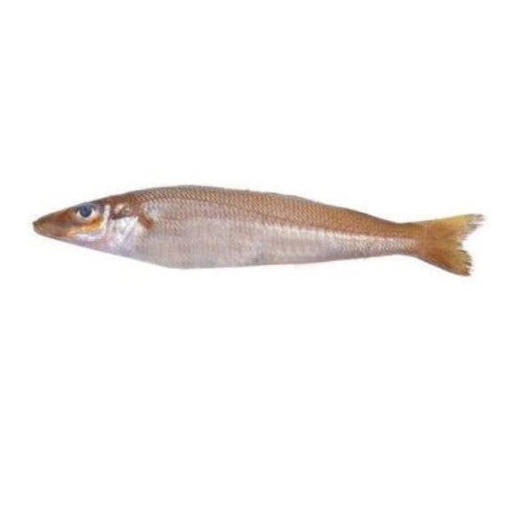 Lady Fish (bhambore) 2kg (Next Day Delivery) (4734784274517)