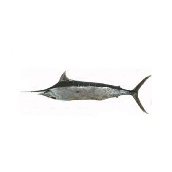 Marlin (ghora) -Meat 2Kg (Next Day Delivery) (4734773788757)