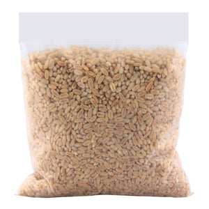 Ahmed Food Haleem Wheat 500gm (Gandum) (4690900353109)