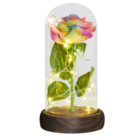 Women - Rainbow Eternal Rose Flower in Glass Dome with LED Light Wooden Base Valentine Christmas Gifts (4838720700501)