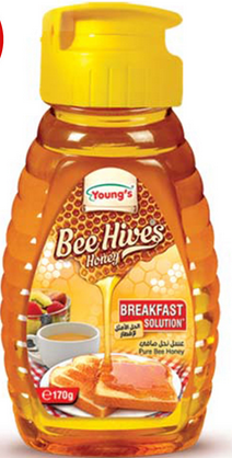 Youngs Bee Hives Honey 170g (4828621176917)