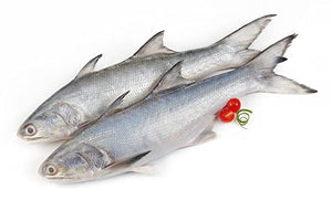 Indian Salmon (Rawas) 2kg (Next Day Delivery) (4734760419413)