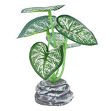 Plant Mix Std SG25-5