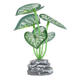 Plant Mix Std SG25-5