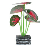 Plant Mix Std SG25-7