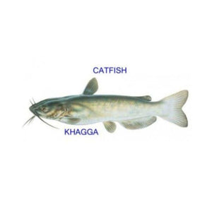Cat Fish/ Khagga 2kg (Next Day Delivery) (4734795513941)