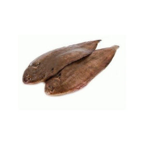 Tongue Sole (Patti Sole) 2kg (Next Day Delivery) (4734735351893)