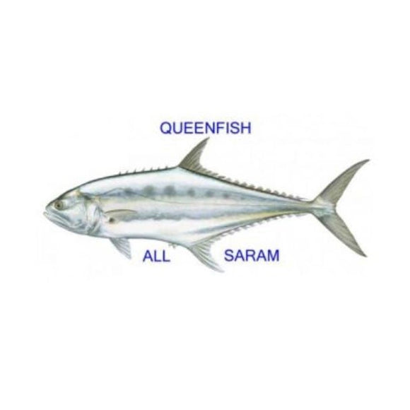 Queen Fish (Saram or Alhari) 2kg after cleaning  (Next Day Delivery) (4734772215893)