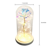 Valentine's Day Creative Gift 24K GALAXY Rose Lasts Forever Love (4838312706133)
