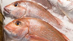 Big Heera Fish (Red Snapper Machli) 2Kg after cleaning (Next Day Delivery) (4725261500501)