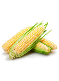 Corn Yellow bhutta 1 kg (4713963814997)