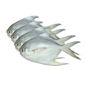 Paplet Machli Fish 2Kg (Next Day Delivery) (4714732552277)